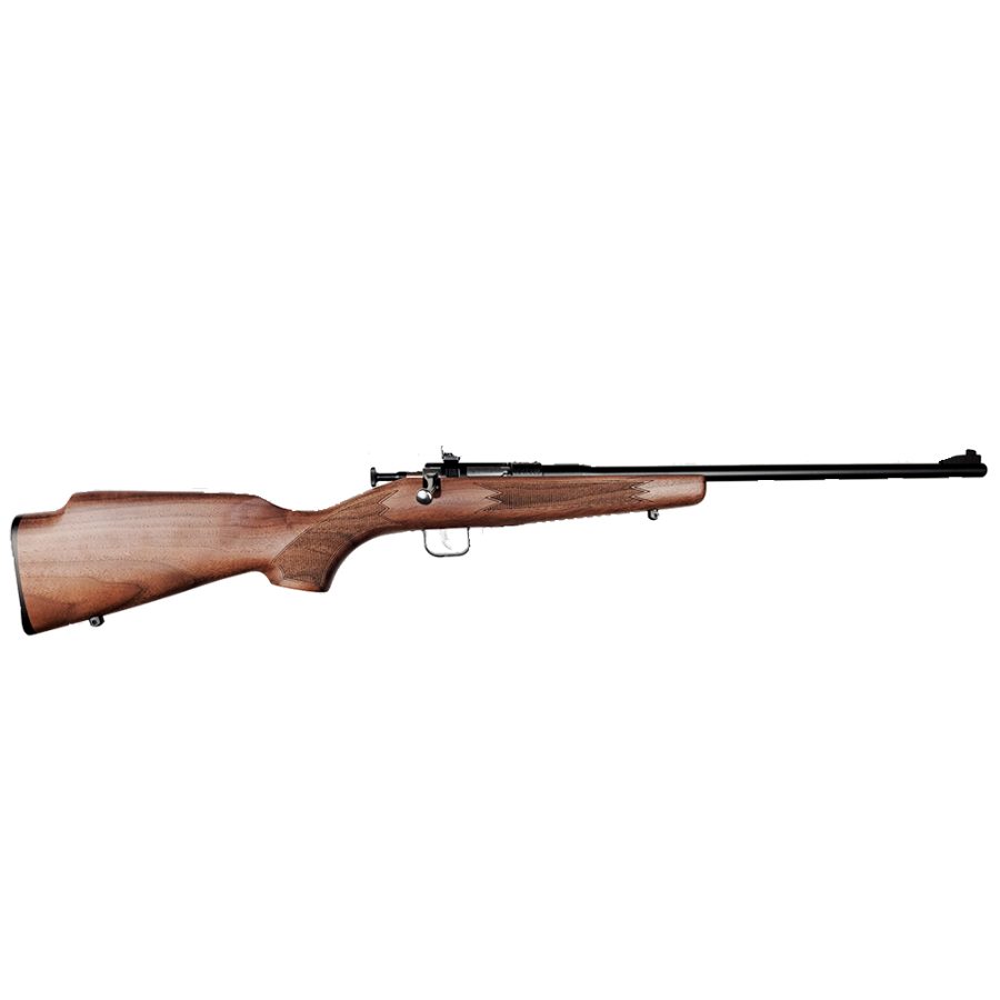 CHIPMUNK DELUXE 22LR BL/WALNUT SINGLE-SHOT