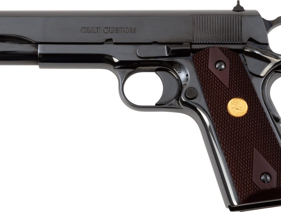 GOV'T CLASSIC 45ACP ROYAL BLUE nan
