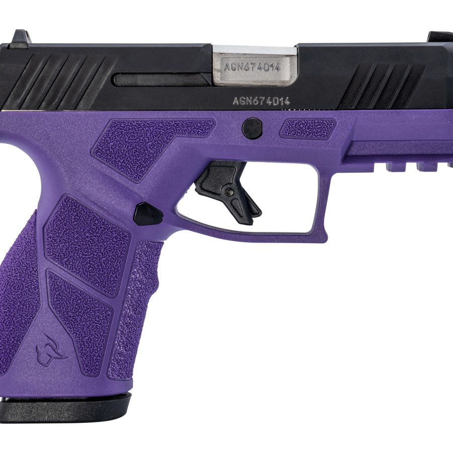 GX2 9MM BLK/PURPLE 3.3" 13+1 1-GX2931DP
