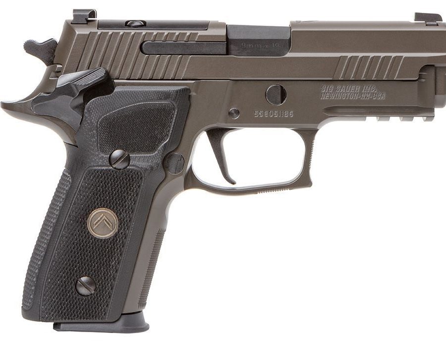 P229 LEGION 9MM SAO 15+1 OR E29R-9-LEGION-SAO-R2|OPTIC RDY