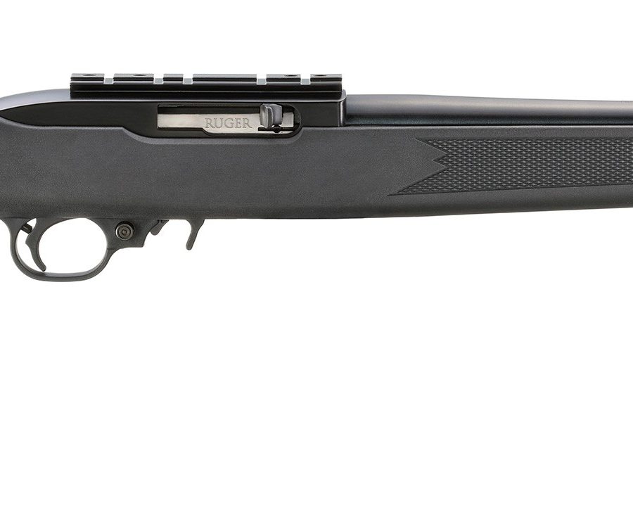 10/22 CARBINE 22LR BL/SYN 31210