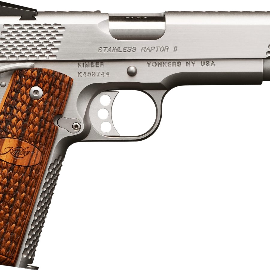STAINLESS RAPTOR II 45ACP nan