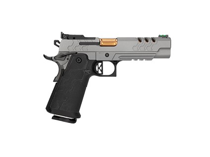 2K11 STAINLESS TGT 9MM 10+1 OR nan