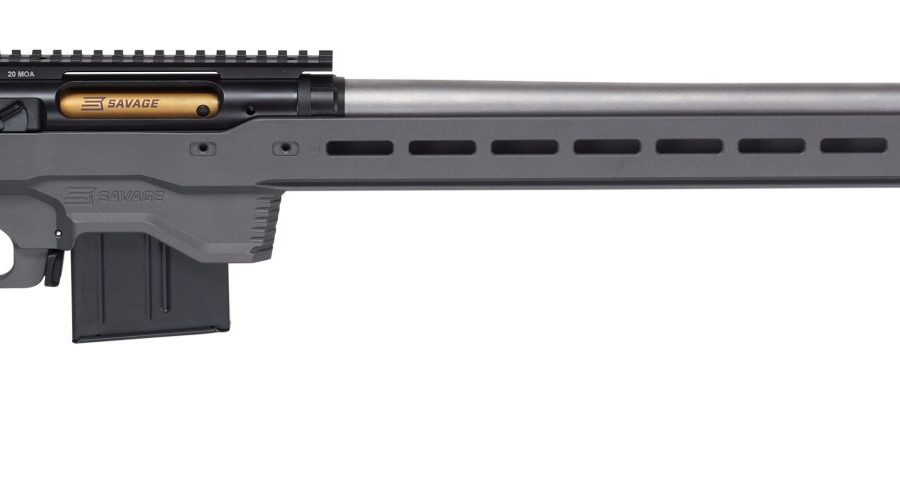 Savage Arms 110 ELITE PRECISION 300WIN