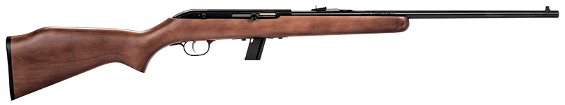 64 SEMI-AUTO 22LR BL/WD 10+1 30000