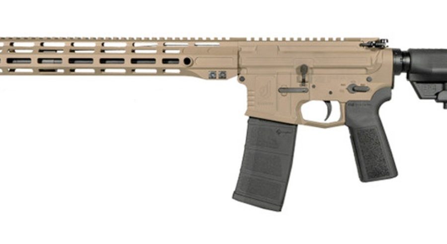 WSM15 300BLK 16" FDE 30+1 nan