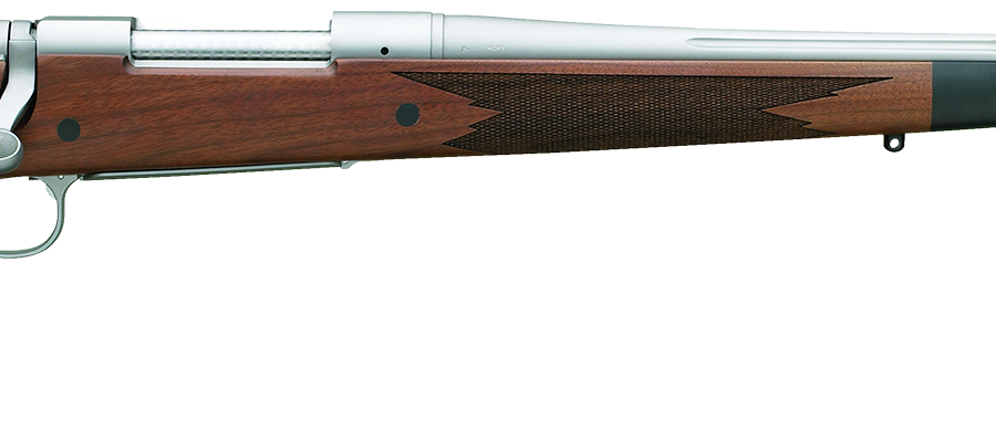 Remington 700 LSSF 308WIN 22" SS/LAM TB