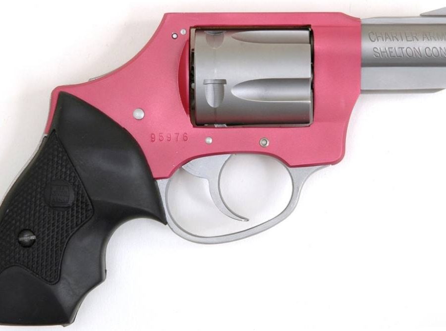 CHARTER PINK LADY 38SPC 2" DAO RUBBER GRIPS / DAO / 5-SHOT