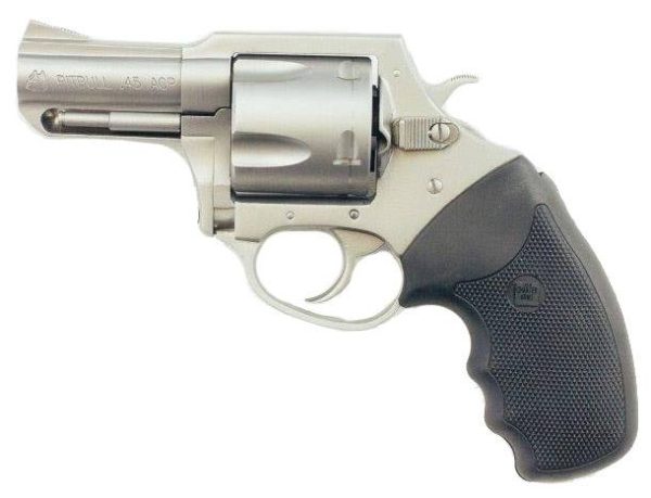 CHARTER PITBULL 45ACP SS 2.5" nan