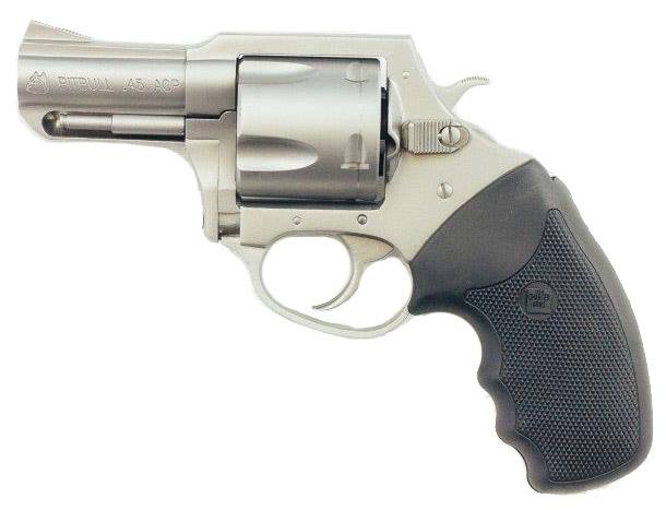CHARTER PITBULL 45ACP SS 2.5" nan