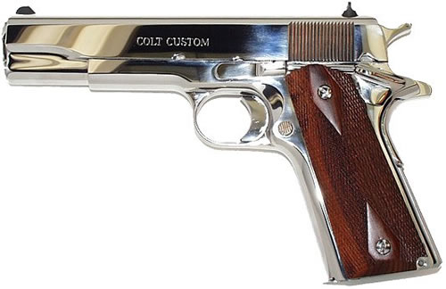 GOVERNMENT 38SPR POLISH SS 5" nan