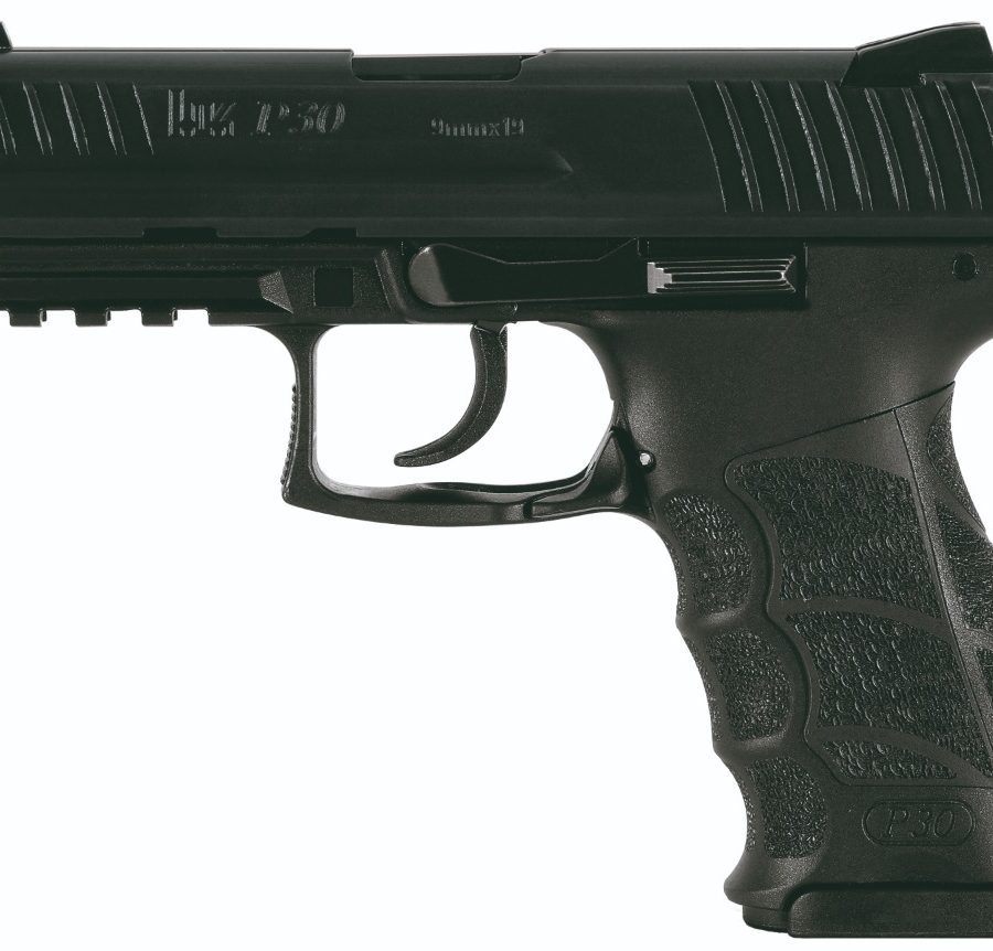 P30 V1 LIGHT LEM 9MM 10+1 NS nan