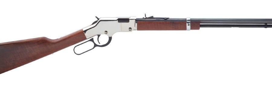 GOLDEN BOY SILVER 22MAG nan