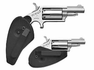 22M/22LR CONV 1-5/8 HOLS COMBO NAA-22MC-HG