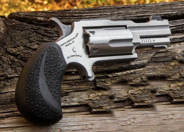 22MAG 2" BUGOUT II SS XS SGHT# NAA-22M-TB