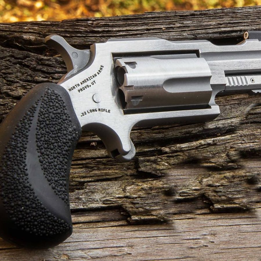22MAG 2" BUGOUT II SS XS SGHT# NAA-22M-TB