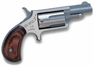 22MAG/LR 1-5/8" CONVERTIBLE SS NAA-22MC