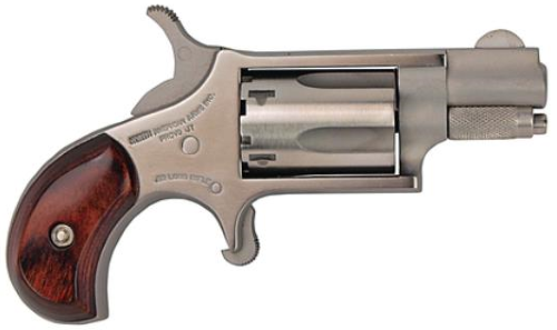 MINI 22LR REV 1-1/8" SS NAA-22LR