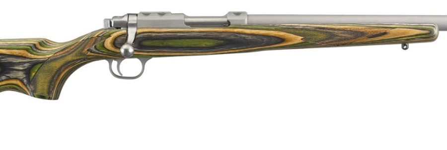 Ruger 77/17 17HOR SS/LAM 18.5" TB