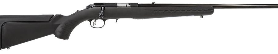 AMERICAN 22LR BL/SY 22" 8301