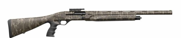 GORDION TKY 12/24 BLK PST GRP nan