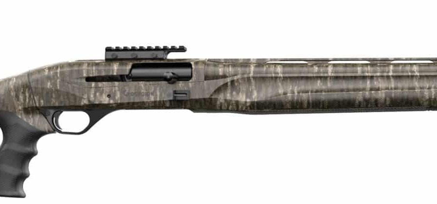 GORDION TKY 12/24 BLK PST GRP nan