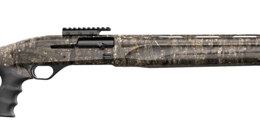 GORDION TKY 12/24 TMBR PST GRP nan