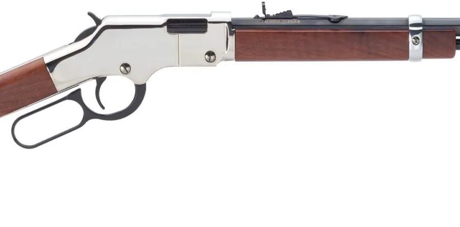 Henry Repeating Arms H4 GOLDEN BOY SILVER 17HMR