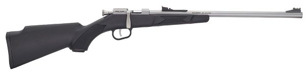 MINI BOLT G2 22LR SS/SYN nan
