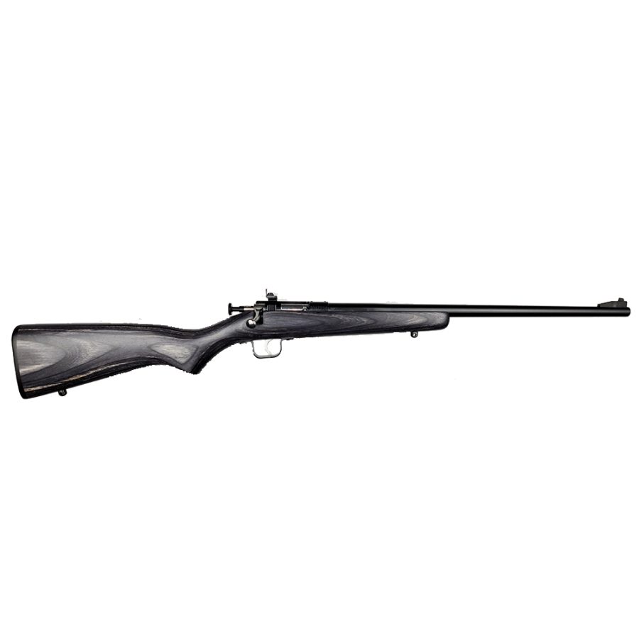 CRICKETT 22LR BL/BLACK LAM SINGLE-SHOT