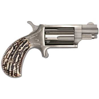 MINI 22MAG REV 1-1/8" SS STAG NAA-22MS-GSTG