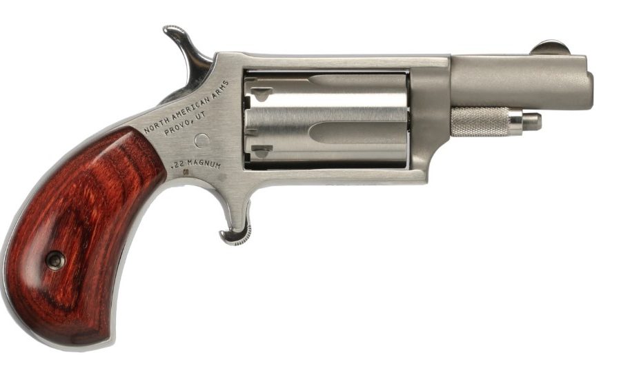 22MAG MINI REV 1-5/8" SS NAA-22MSTD