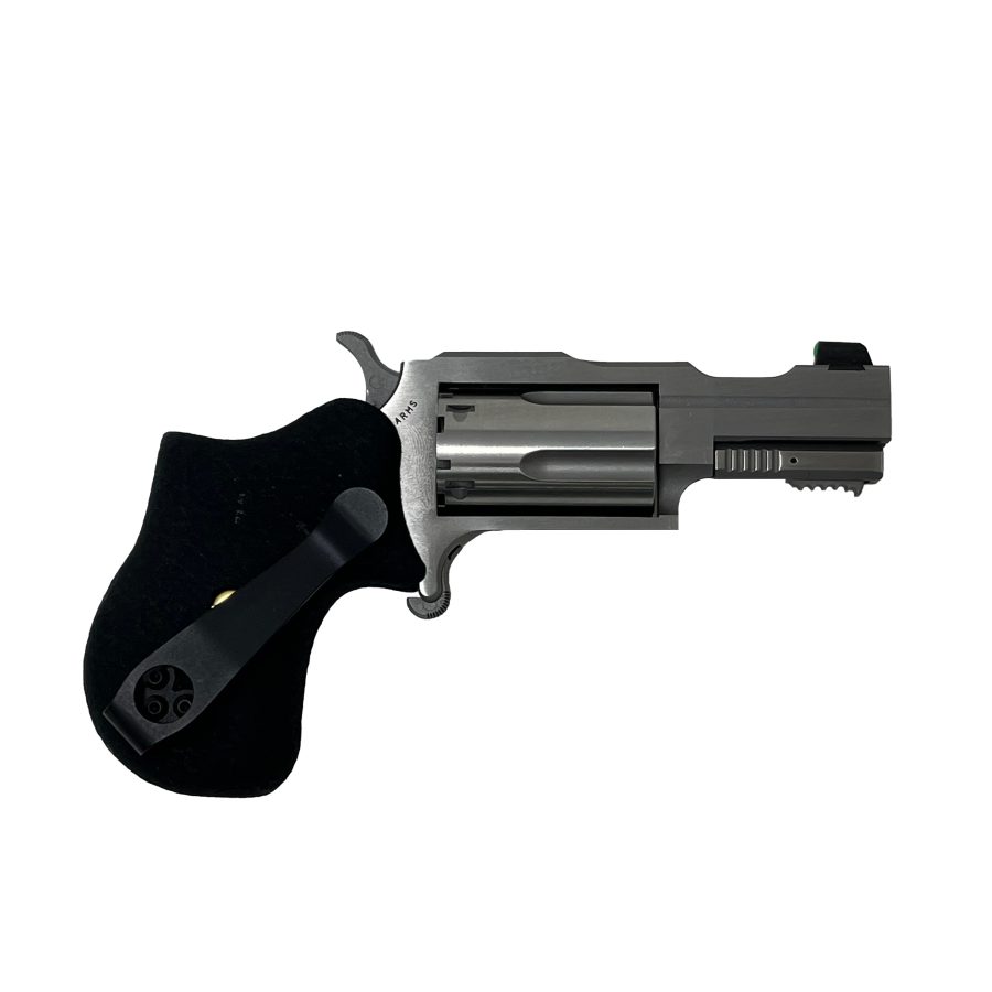 22MAG 1-5/8" RULE 1 SS XS SGHT NAA-22M-RULE1/HAMRE FORGE GRIP