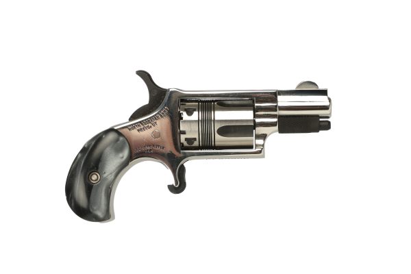 MINI 22LR REV 1-1/8" HI-POLISH NAA-22LR-DV2