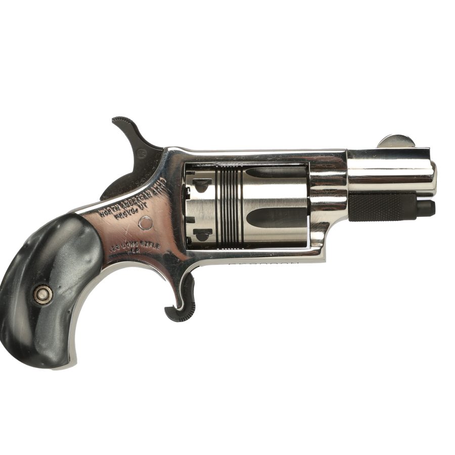 MINI 22LR REV 1-1/8" HI-POLISH NAA-22LR-DV2