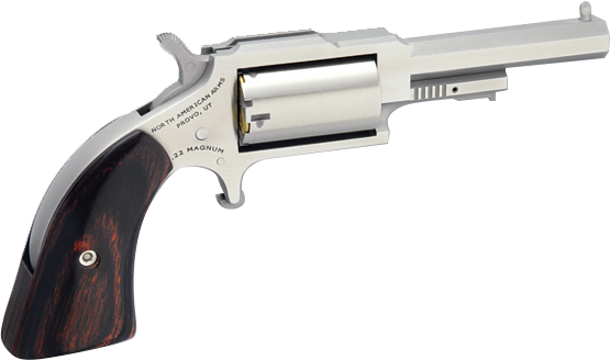 SHERIFF 22LR/22MAG 2.5" SS 5SH NAA-1860-250C|PUSH BTN LATCH