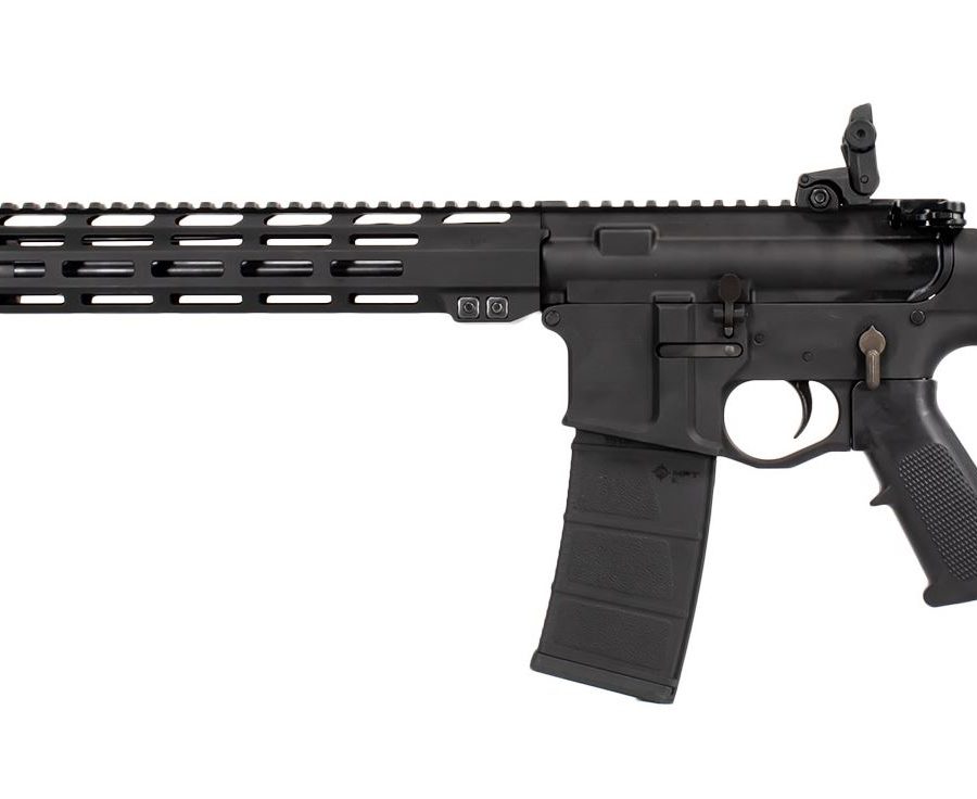 RD15 300BLK 16" BLACK 30+1 nan