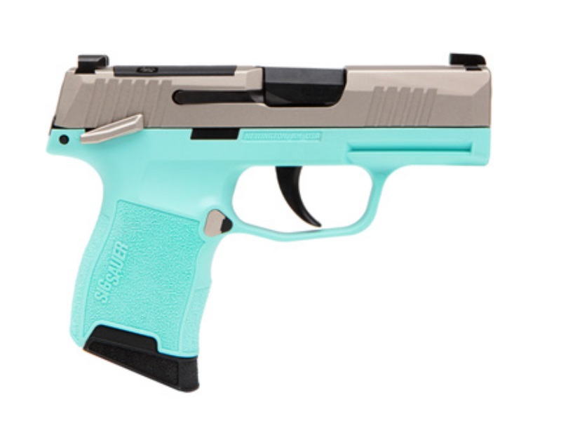 P365 380ACP NKL/TURQUOISE 10+1 365-380-REB-MS | OPTIC READY