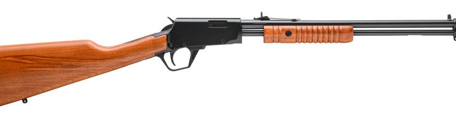 GALLERY 22WMR BL/WD 20" 12+1 BUCKHORN STYLE SIGHTS