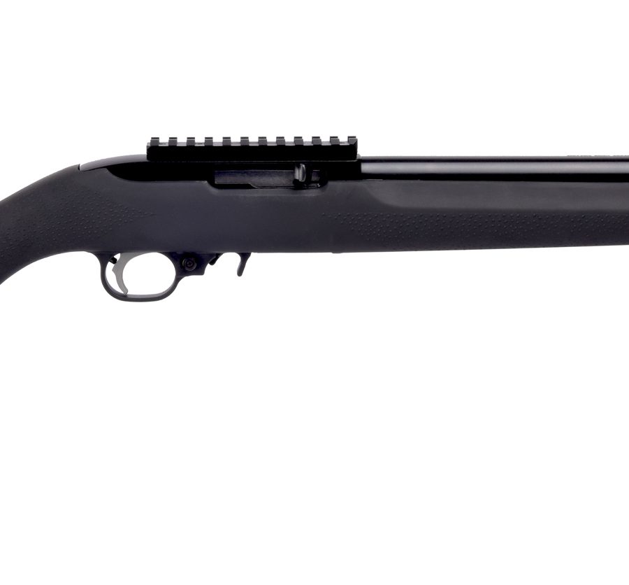 10/22 CARB 22LR HVY BBL/HOGUE 31221 | HOGUE TACTICAL STOCK