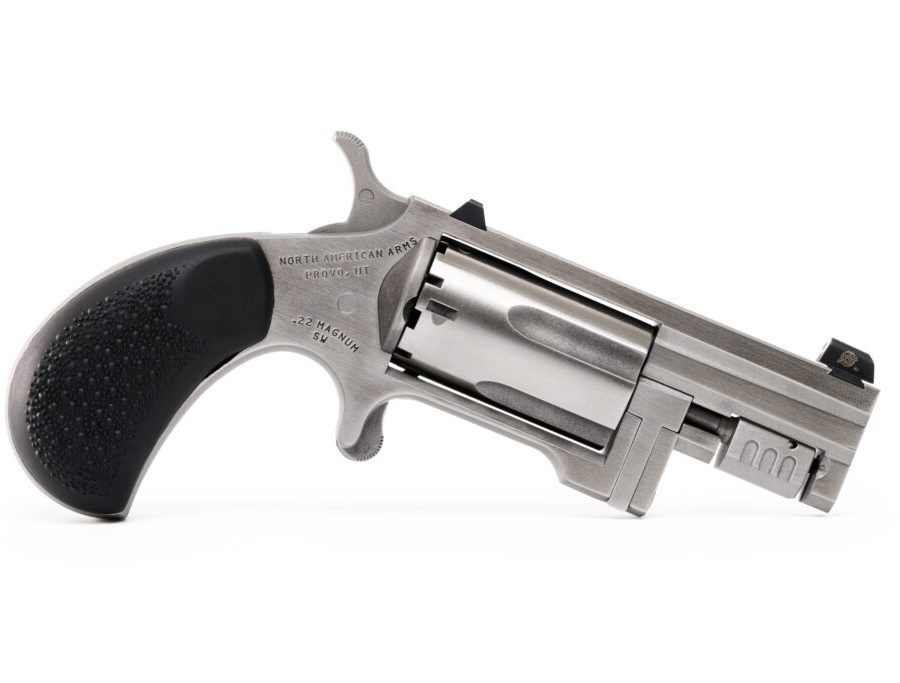 SENTINEL 22M/22LR 1.5" SS NAA-SNT-C