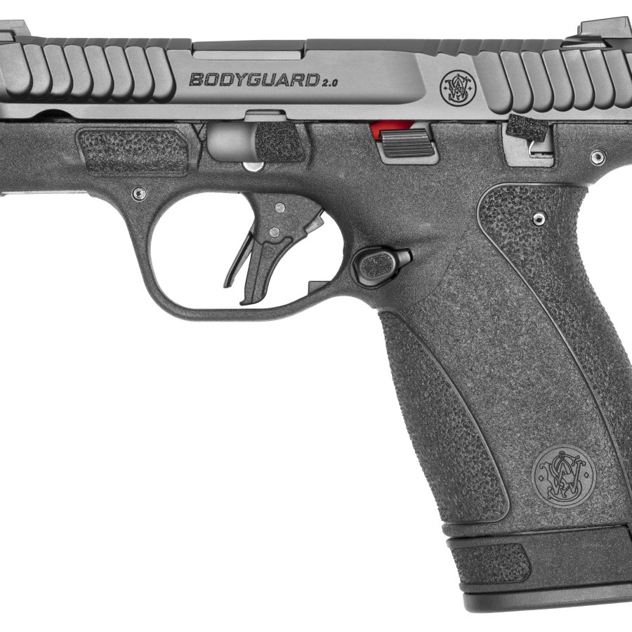 BODYGUARD 2.0 380ACP 12+1 NTS 13927