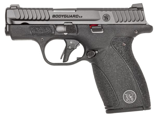 BODYGUARD 2.0 380ACP 10+1 TS nan