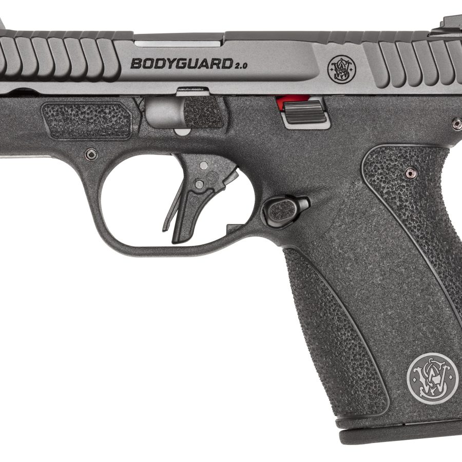 BODYGUARD 2.0 380ACP 10+1 TS nan