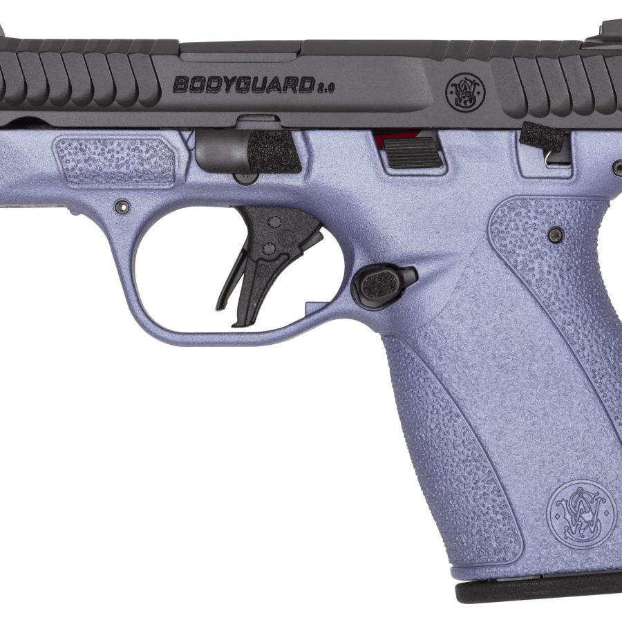 BODYGUARD 2.0 380ACP ORCHID TS nan