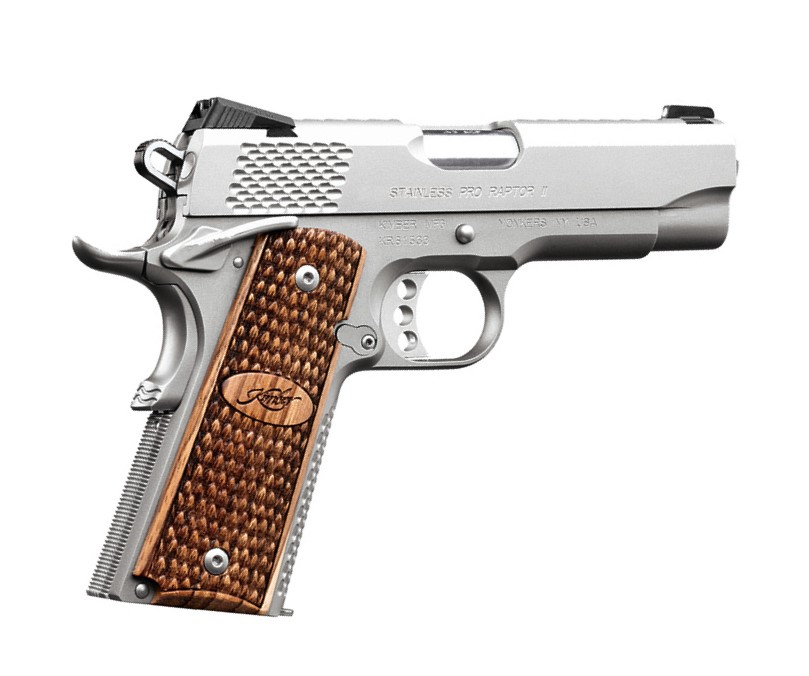 STAINLESS PRO RAPTOR II 9MM nan