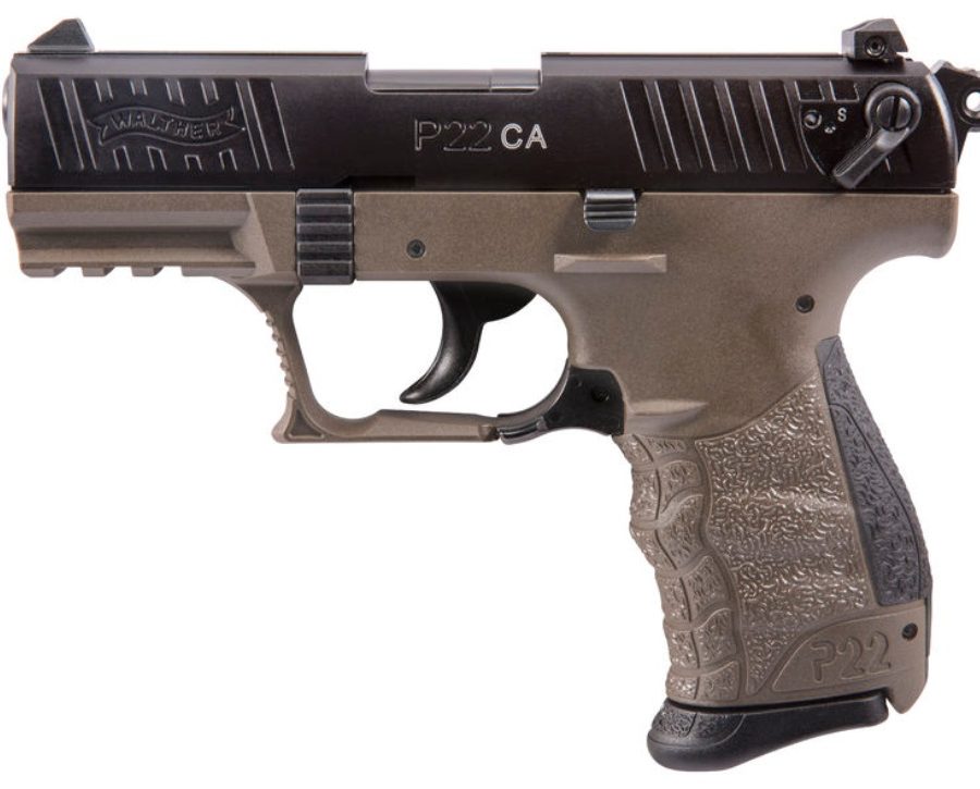P22 22LR BLK/FDE 10+1 3.4" CA nan