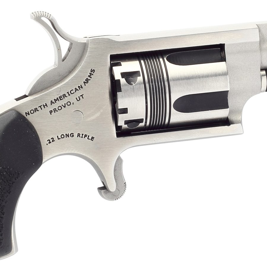 THE WASP 22LR REV 1-1/8" SS NAA-22LR-TW